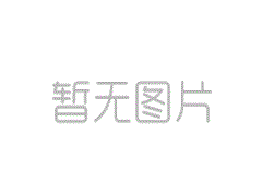 不同的<font color='red'>塑胶</font>跑道材料有哪